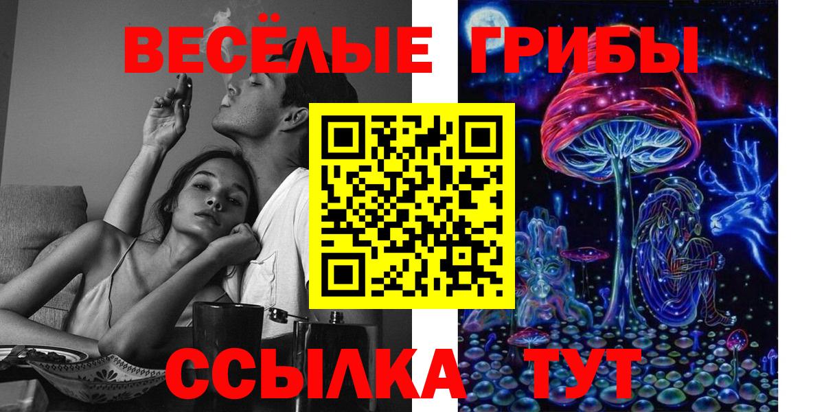Сухой Лог  Галлюциногенные грибы Psilocybine cubensis  Вход с VPN  как найти закладки  Псилоцибиновые грибы ЛСД 